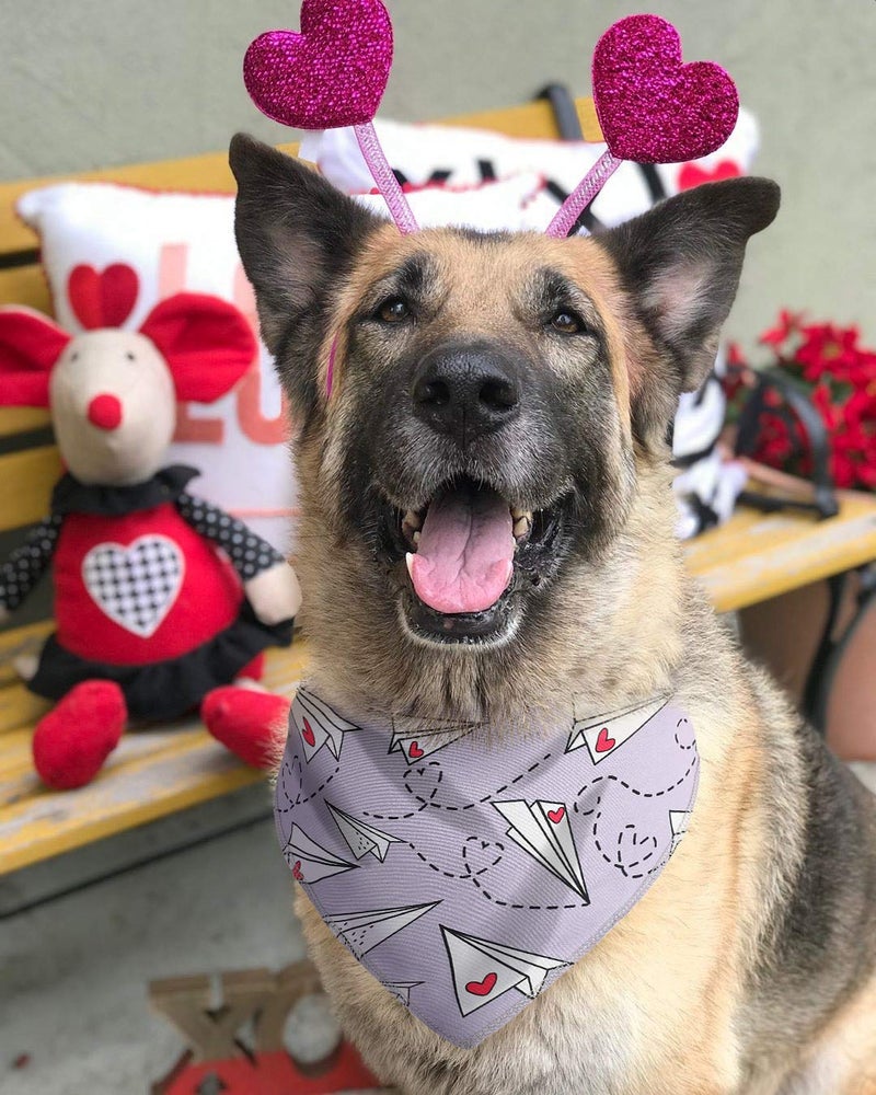 BoomBone Dog Valentines Day Bandana 2 Pack,Triangle Bibs Pet Scarf for Medium and Large Dogs - Image 5